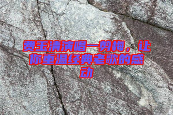 費(fèi)玉清演唱一剪梅，讓你重溫經(jīng)典老歌的感動(dòng)