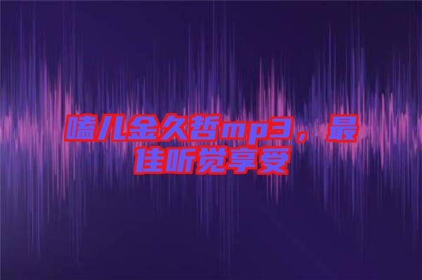 嗑兒金久哲mp3，最佳聽覺享受