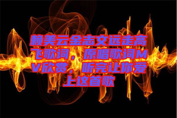 賴美云金志文遠走高飛歌詞，原唱歌詞MV欣賞，聽完讓你愛上這首歌