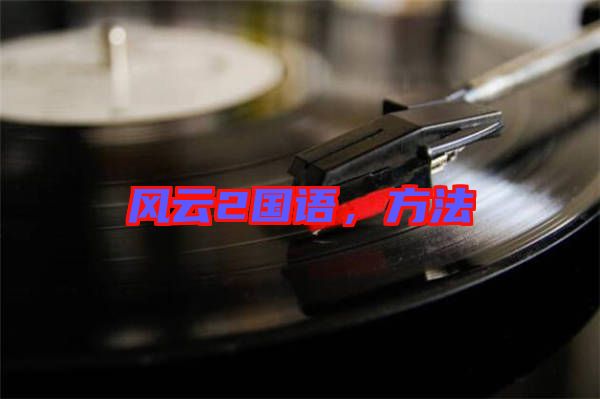 風(fēng)云2國語，方法