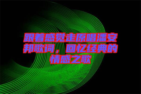 跟著感覺(jué)走原唱潘安邦歌詞，回憶經(jīng)典的情感之歌
