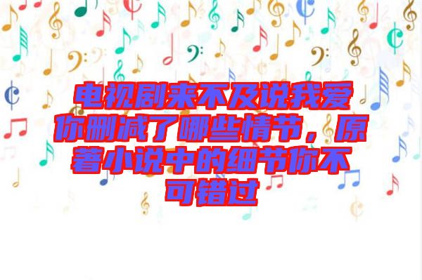 電視劇來(lái)不及說(shuō)我愛(ài)你刪減了哪些情節(jié)，原著小說(shuō)中的細(xì)節(jié)你不可錯(cuò)過(guò)