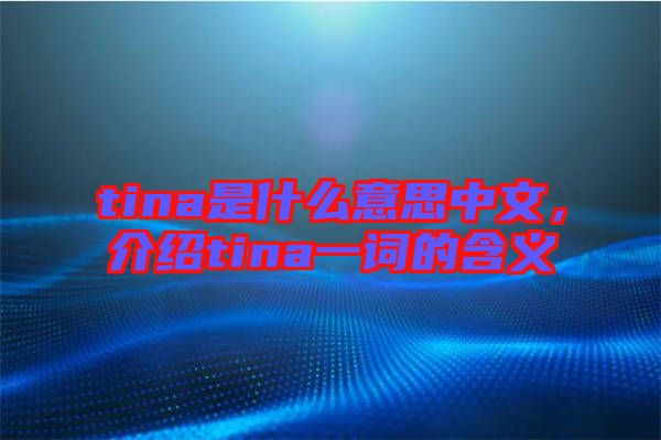 tina是什么意思中文，介紹tina一詞的含義