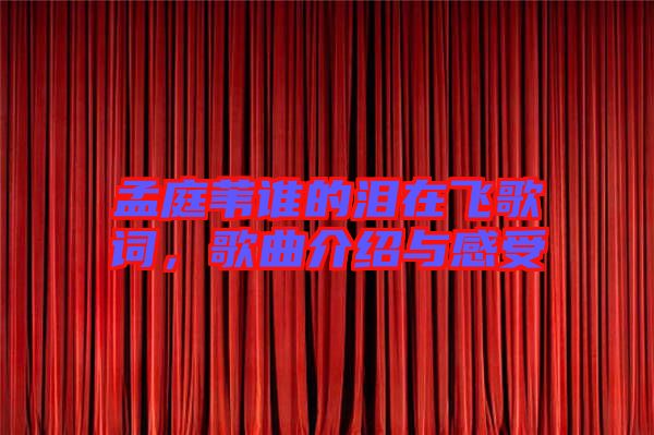孟庭葦誰(shuí)的淚在飛歌詞，歌曲介紹與感受