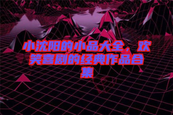 小沈陽(yáng)的小品大全，歡笑喜劇的經(jīng)典作品合集