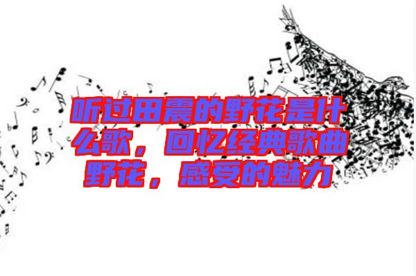 聽過田震的野花是什么歌，回憶經(jīng)典歌曲野花，感受的魅力