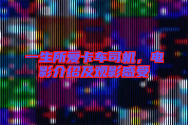 一生所愛卡車司機，電影介紹及觀影感受