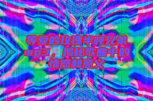 等愛的玫瑰半噸兄弟mp3，揭秘歌曲中的情感和意義