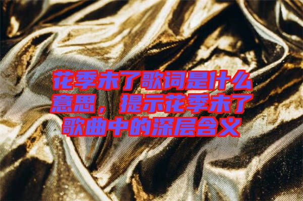 花季未了歌詞是什么意思，提示花季未了歌曲中的深層含義