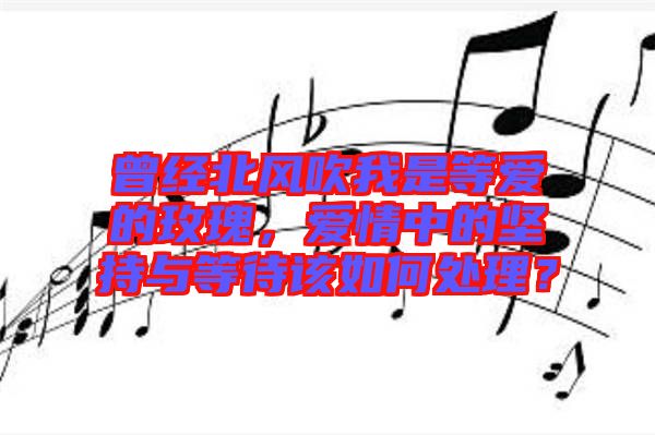 曾經(jīng)北風(fēng)吹我是等愛的玫瑰，愛情中的堅(jiān)持與等待該如何處理？