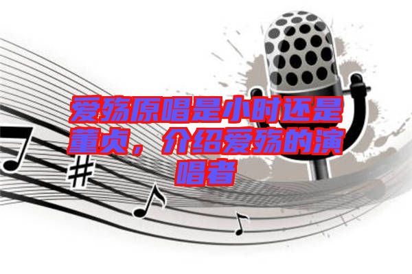 愛(ài)殤原唱是小時(shí)還是董貞，介紹愛(ài)殤的演唱者