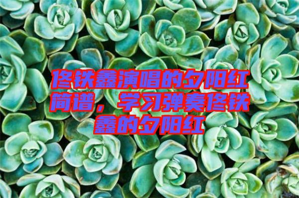 佟鐵鑫演唱的夕陽紅簡譜，學(xué)習(xí)彈奏佟鐵鑫的夕陽紅