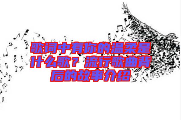 歌詞中有你的溫柔是什么歌？流行歌曲背后的故事介紹
