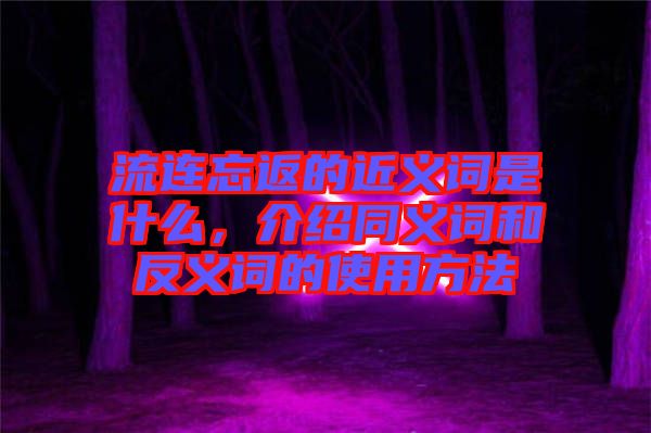 流連忘返的近義詞是什么，介紹同義詞和反義詞的使用方法