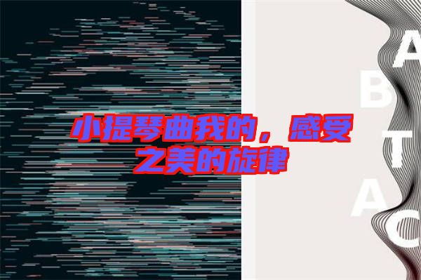 小提琴曲我的，感受之美的旋律