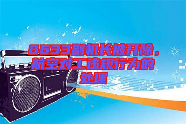 8633副機(jī)長(zhǎng)被開除，航空對(duì)工違規(guī)行為的處理