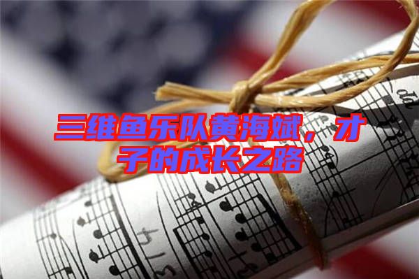 三維魚樂隊(duì)黃海斌，才子的成長之路