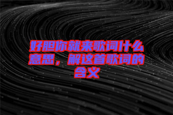 好膽你就來(lái)歌詞什么意思，解這首歌詞的含義