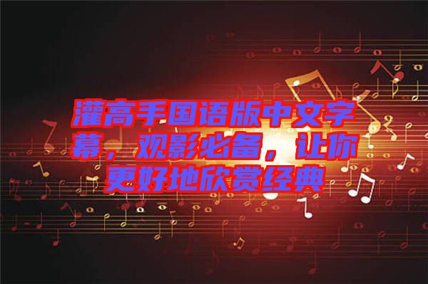 灌高手國(guó)語(yǔ)版中文字幕，觀影必備，讓你更好地欣賞經(jīng)典