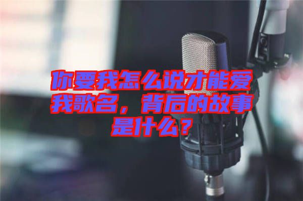 你要我怎么說才能愛我歌名，背后的故事是什么？
