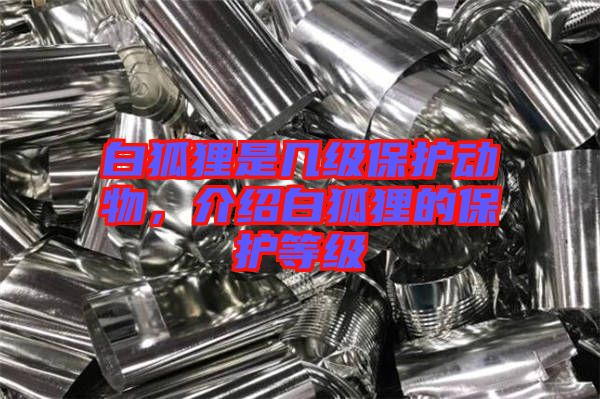 白狐貍是幾級保護動物，介紹白狐貍的保護等級