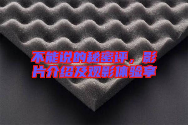 不能說的秘密評，影片介紹及觀影體驗(yàn)享