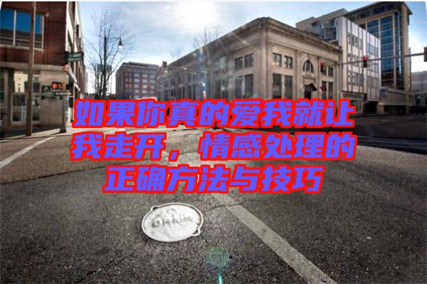 如果你真的愛我就讓我走開，情感處理的正確方法與技巧