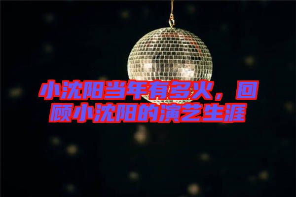 小沈陽當(dāng)年有多火，回顧小沈陽的演藝生涯