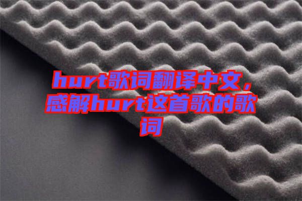 hurt歌詞翻譯中文，感解hurt這首歌的歌詞