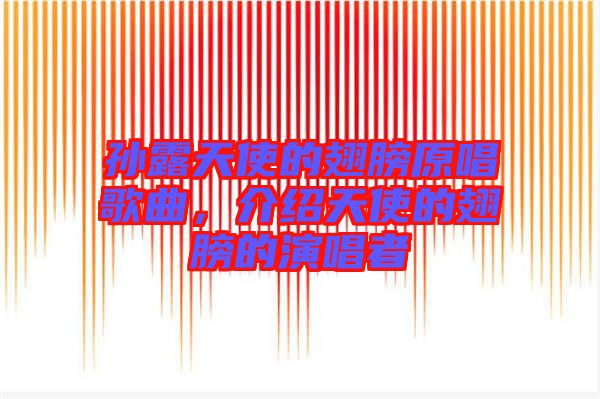 孫露天使的翅膀原唱歌曲，介紹天使的翅膀的演唱者