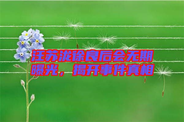 汪蘇瀧徐良后會(huì)無(wú)期曝光，揭開(kāi)事件真相