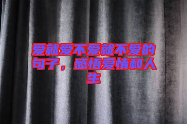 愛就愛不愛就不愛的句子，感悟愛情和人生