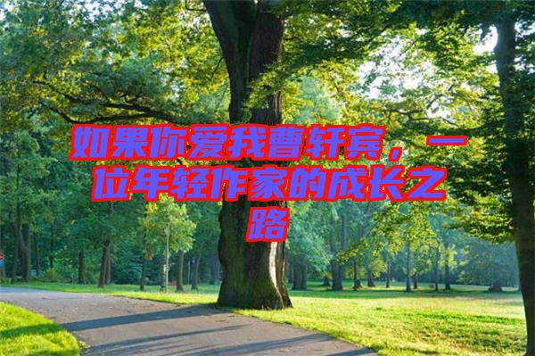 如果你愛我曹軒賓，一位年輕作家的成長之路