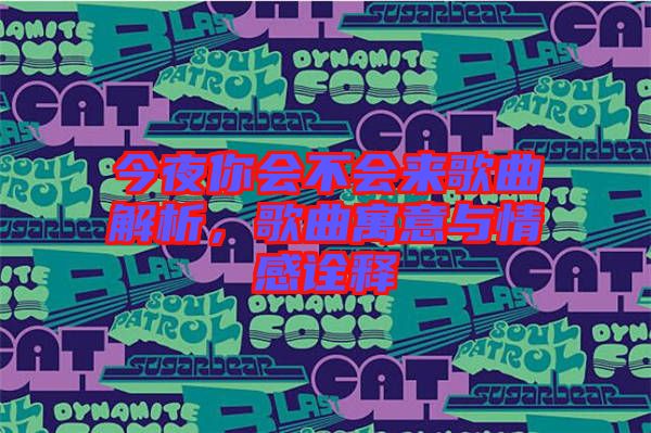 今夜你會(huì)不會(huì)來(lái)歌曲解析，歌曲寓意與情感詮釋