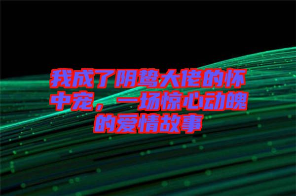 我成了陰鷙大佬的懷中寵，一場驚心動魄的愛情故事