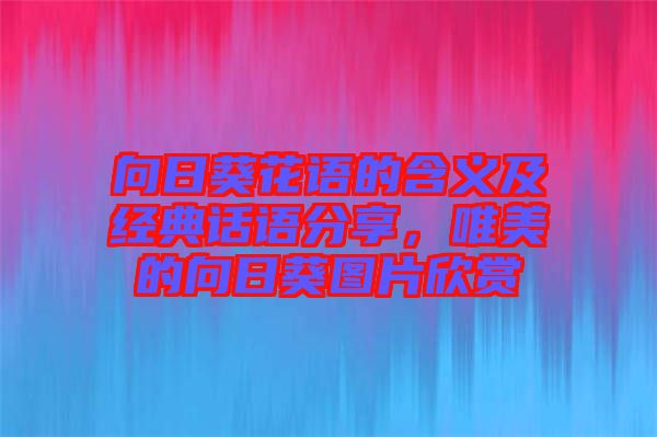 向日葵花語(yǔ)的含義及經(jīng)典話語(yǔ)分享，唯美的向日葵圖片欣賞