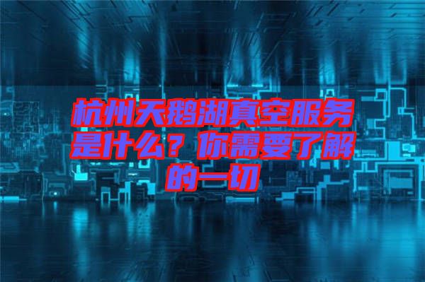 杭州天鵝湖真空服務(wù)是什么？你需要了解的一切