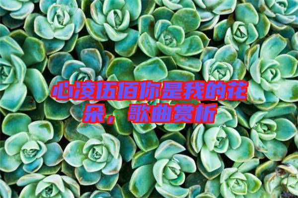 心凌伍佰你是我的花朵，歌曲賞析
