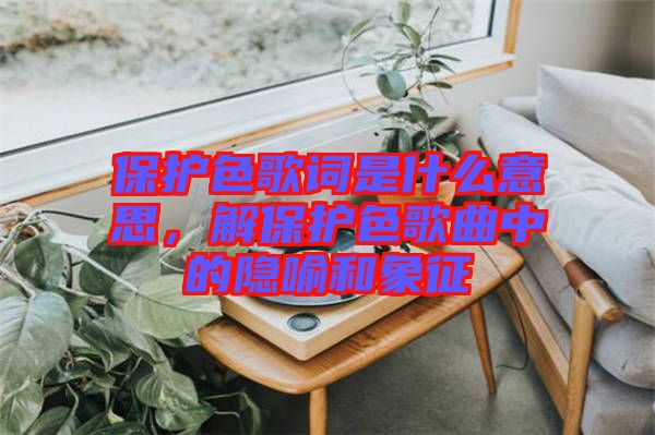 保護色歌詞是什么意思，解保護色歌曲中的隱喻和象征