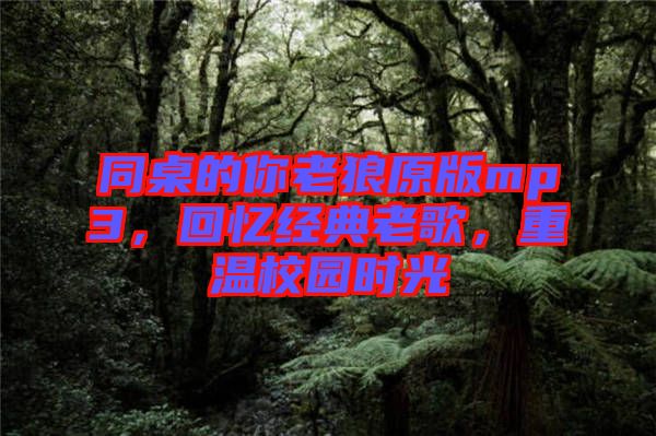 同桌的你老狼原版mp3，回憶經(jīng)典老歌，重溫校園時光