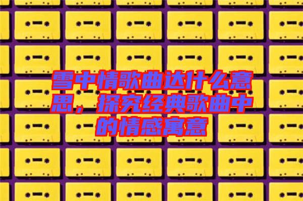 雪中情歌曲達什么意思，探究經(jīng)典歌曲中的情感寓意