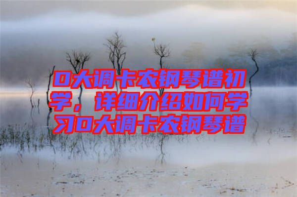 D大調卡農鋼琴譜初學，詳細介紹如何學習D大調卡農鋼琴譜