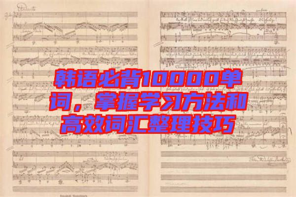 韓語必背10000單詞，掌握學(xué)習(xí)方法和高效詞匯整理技巧