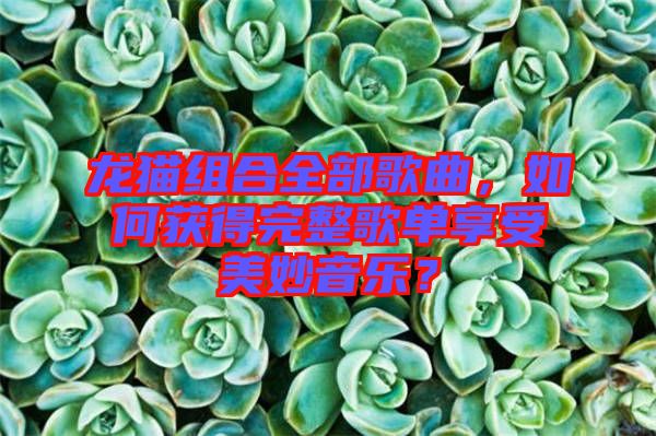 龍貓組合全部歌曲，如何獲得完整歌單享受美妙音樂？