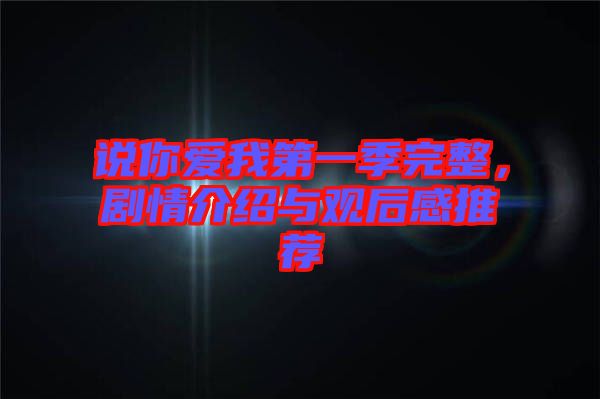 說(shuō)你愛(ài)我第一季完整，劇情介紹與觀后感推薦