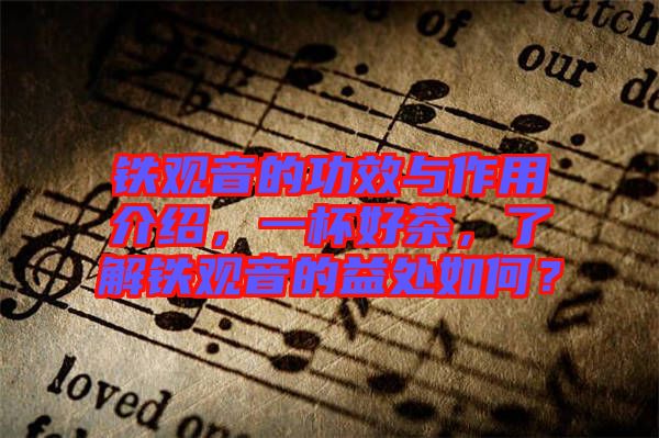 鐵觀音的功效與作用介紹，一杯好茶，了解鐵觀音的益處如何？