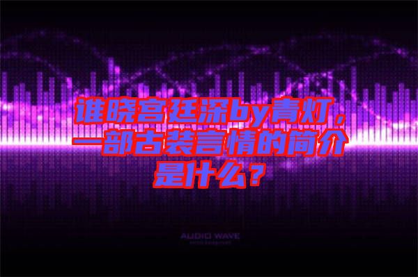 誰曉宮廷深by青燈，一部古裝言情的簡介是什么？