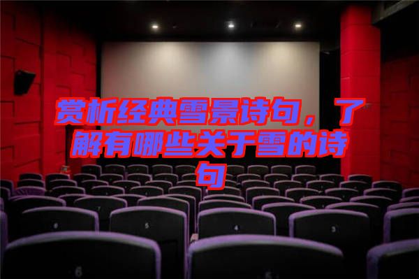 賞析經(jīng)典雪景詩句，了解有哪些關(guān)于雪的詩句