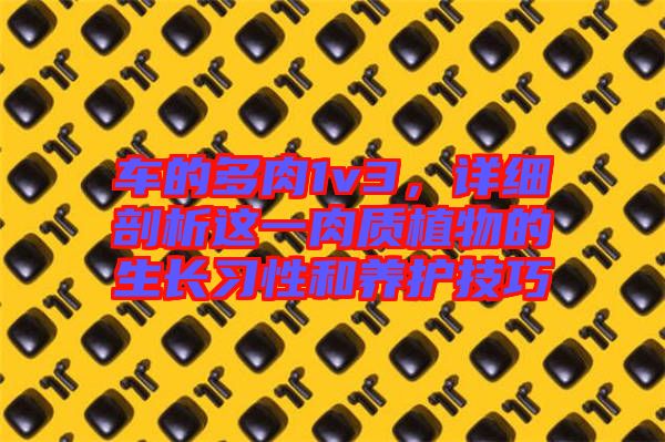 車的多肉1v3，詳細(xì)剖析這一肉質(zhì)植物的生長習(xí)性和養(yǎng)護(hù)技巧