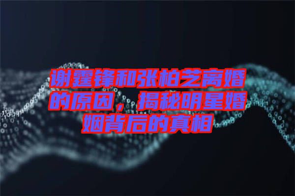 謝霆鋒和張柏芝離婚的原因，揭秘明星婚姻背后的真相